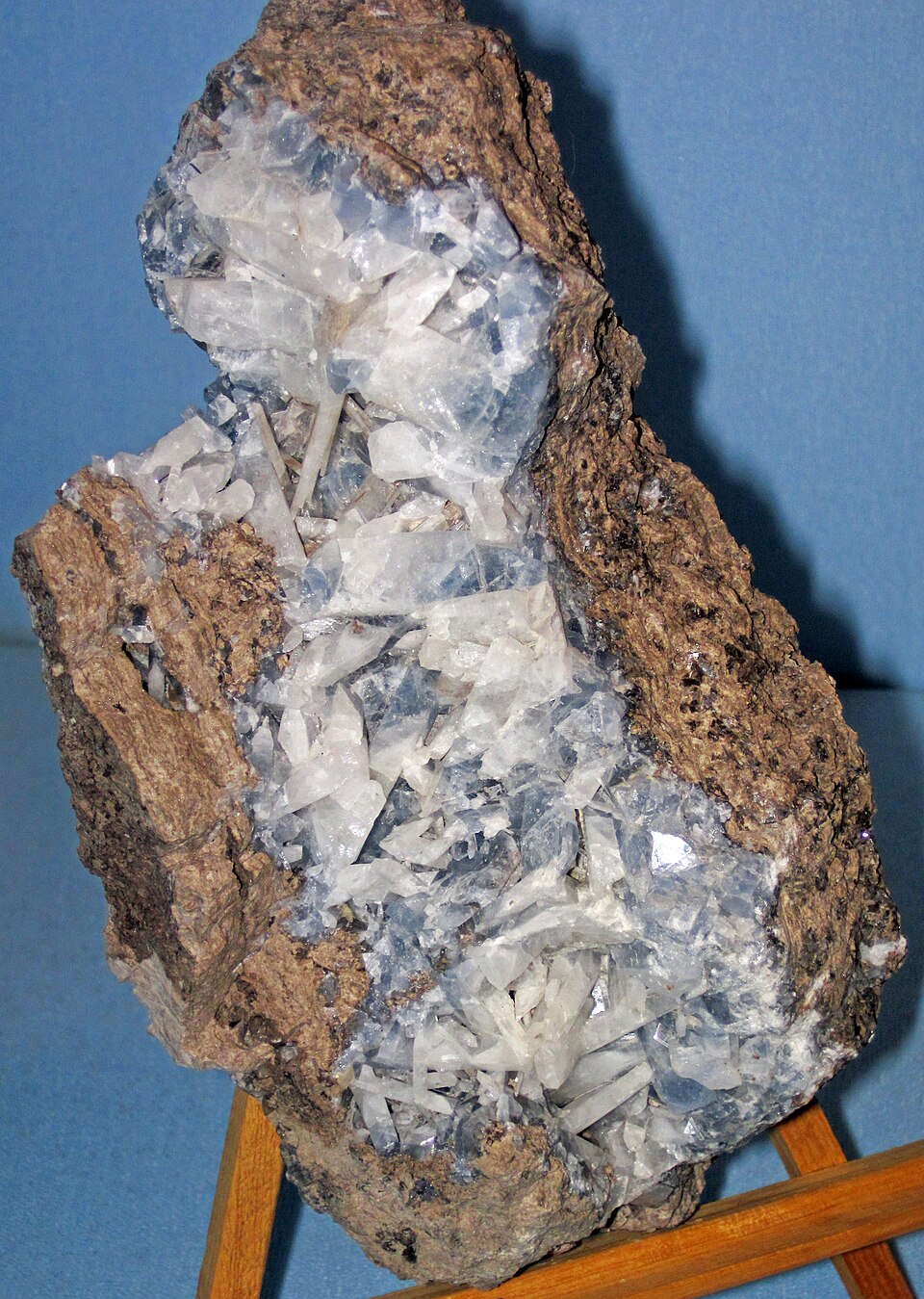 Celestina — esemplare