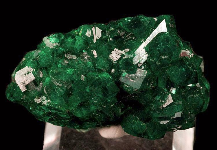 Crisocolla — esemplare