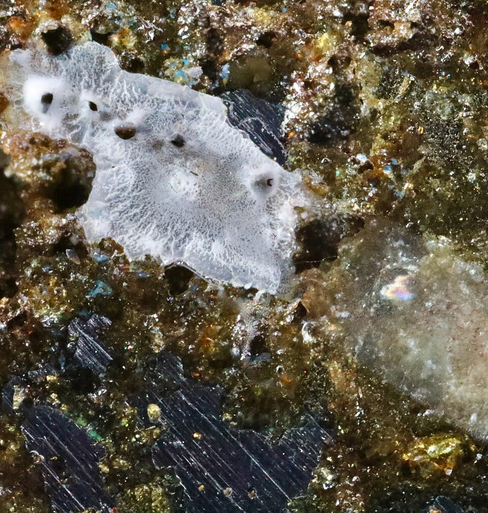 Pallasite